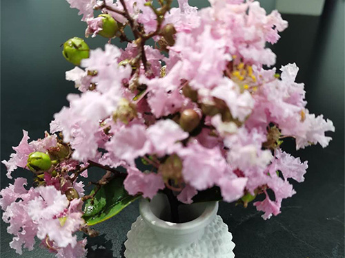 将来可期！石膏建材都有哪些长处，快来领会一下！